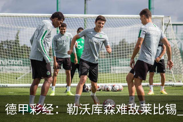 德甲彩经：勒沃库森难敌莱比锡 霍芬海姆客场失分